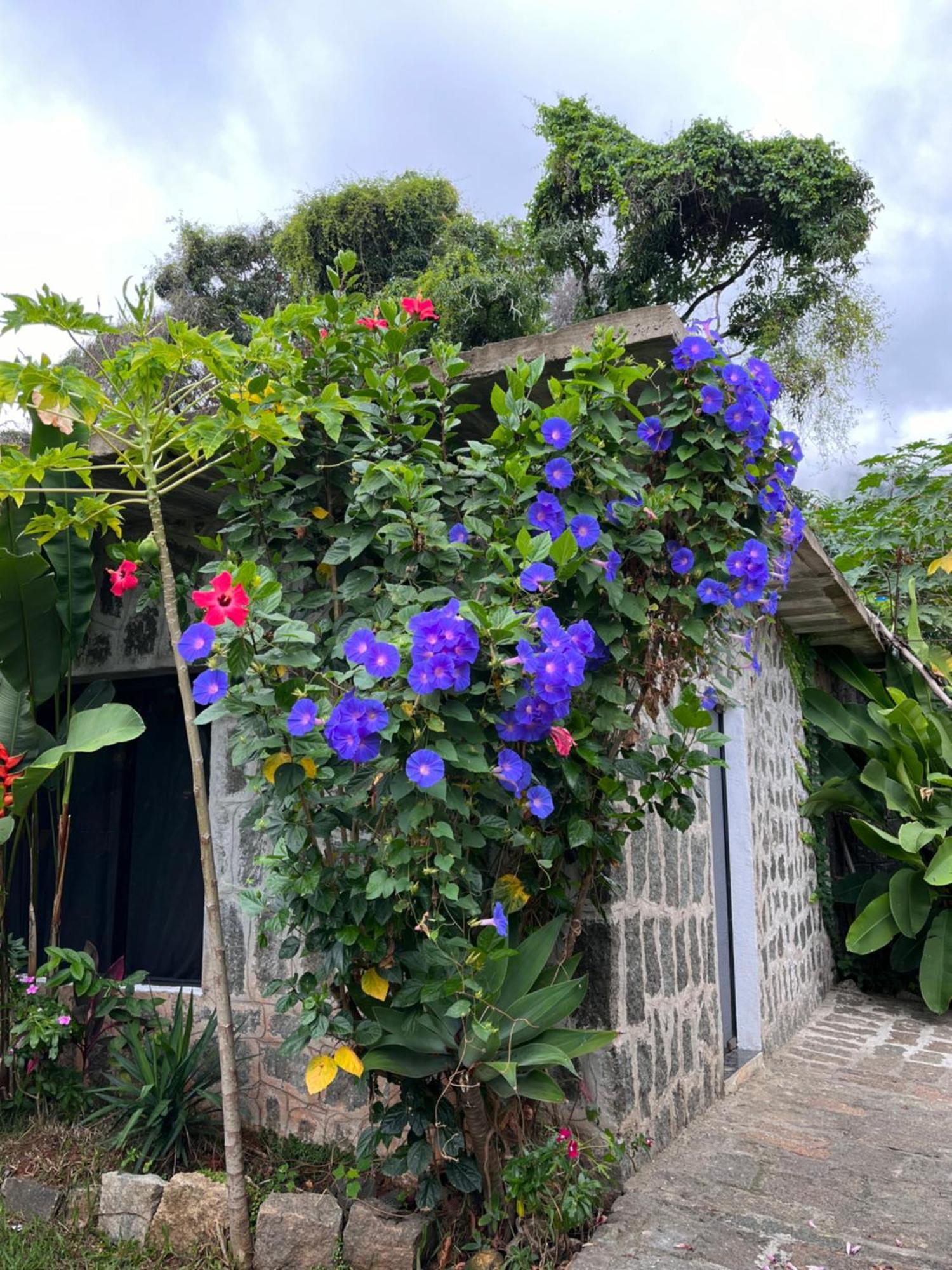 Recanto Das Mangueiras Ilhabela Exterior foto